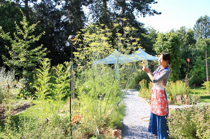 13875_ndewzti2ymi0nzvkn