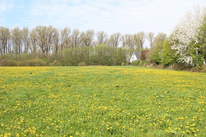 13875_yjjjmtjlmdvingy1m