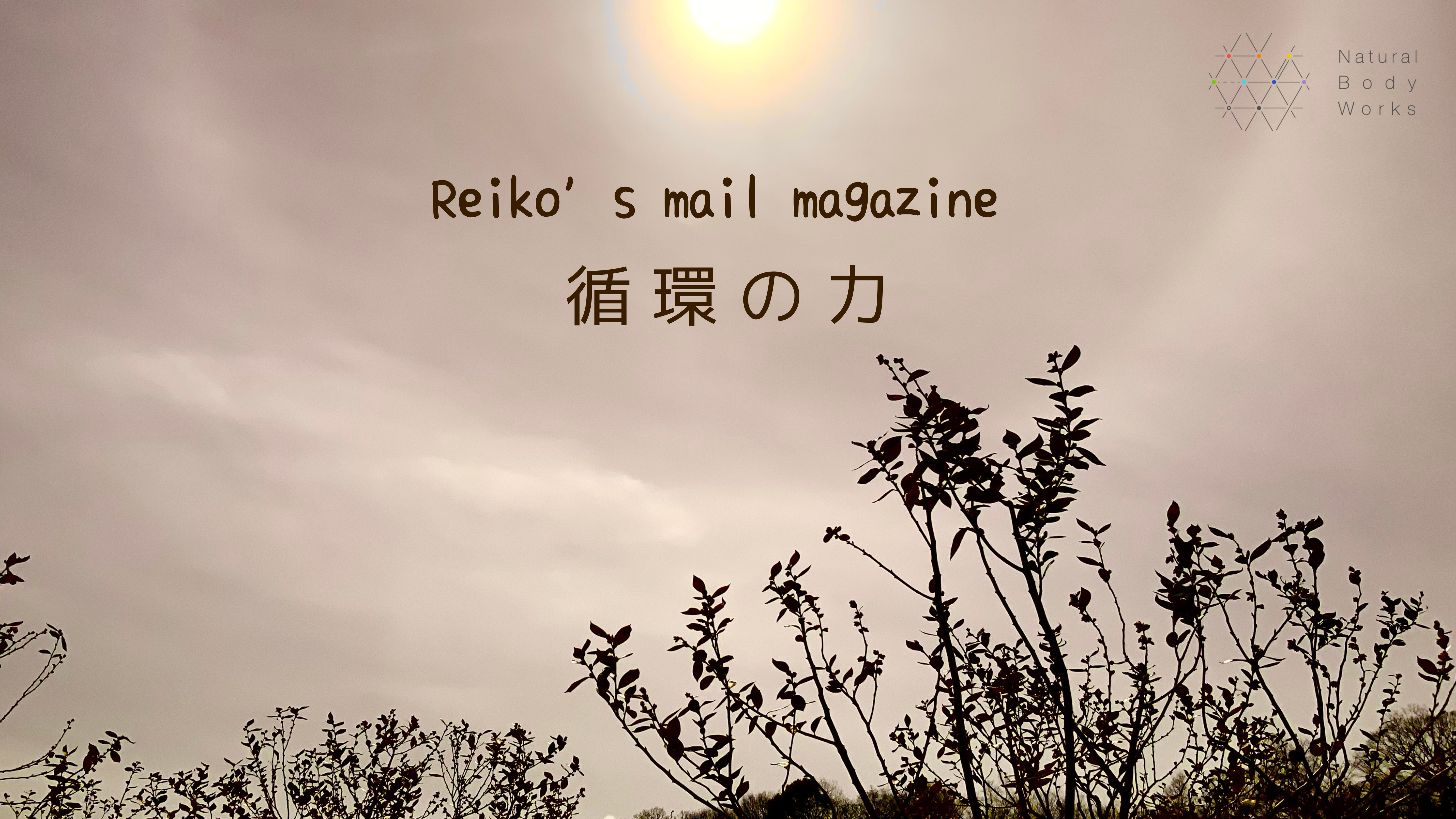14502_mzljy2qzowmxzdm1o