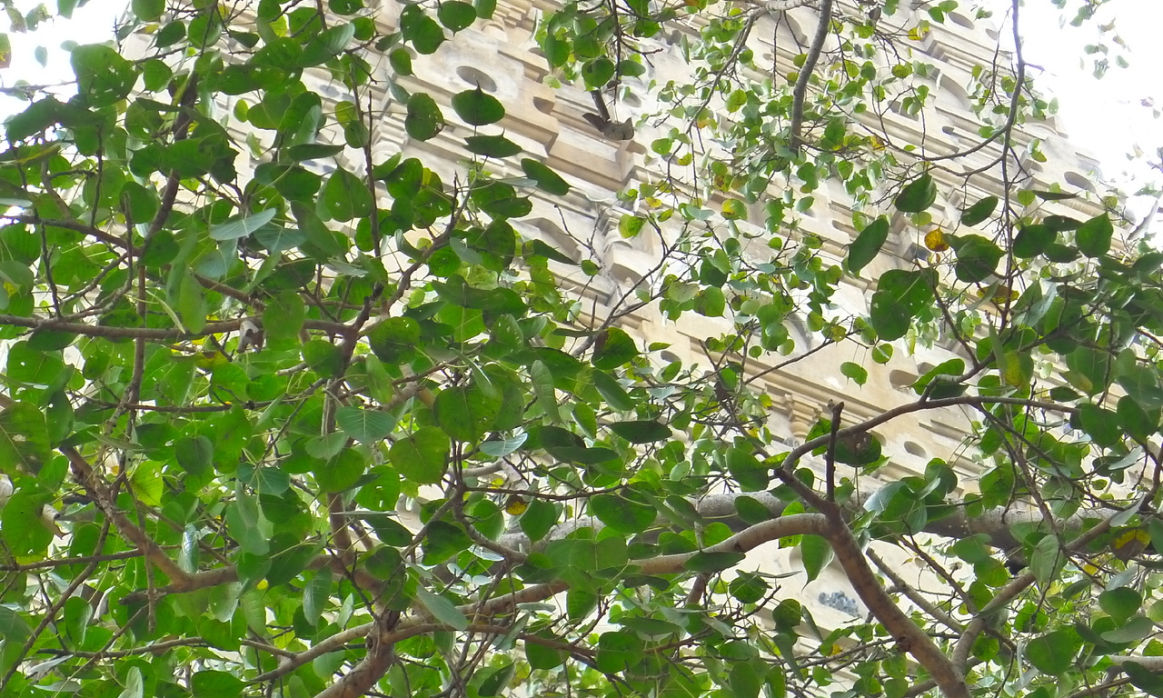 19429_ztqyyjgzmjdlyznjy