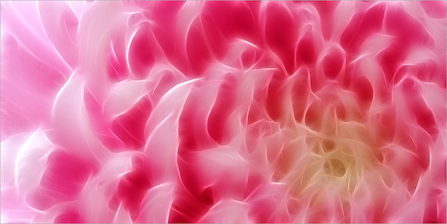 髙橋明子 たかはしあきこ イベント一覧 リザスト