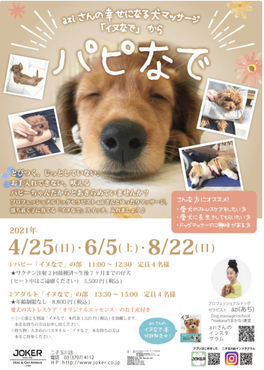 Azi あぢ 店舗問合せ 8月22日 日 パピーのための はじめて イヌなで Joker二子玉川店 リザスト Azi あぢ 店舗問合せ 8月22日 日 パピーのための はじめて イヌなで Joker二子玉川店 リザスト