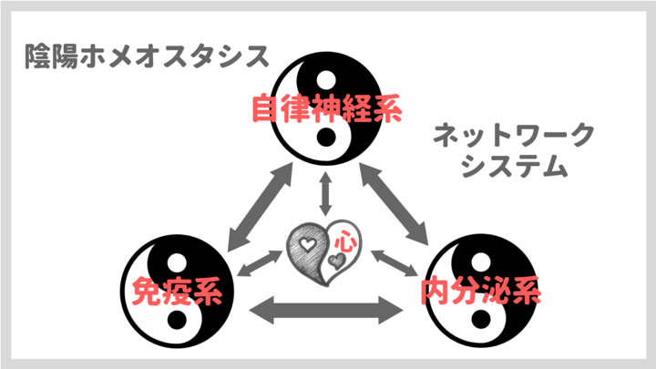 陰陽ホメオスタシスのネットワークシステム