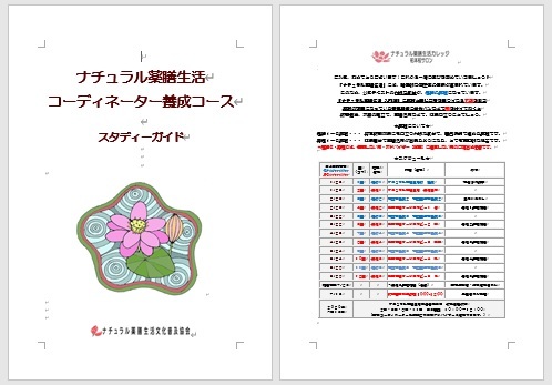 ナチュラル薬膳生活コーディネータースタディーガイドイメージ