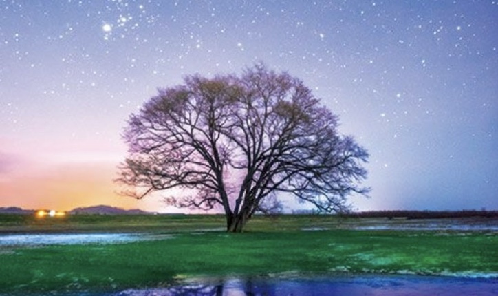 28972_mjgzy2nkzti1yjczy