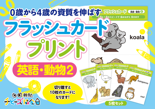 チビーズフラッシュカード（動物）
