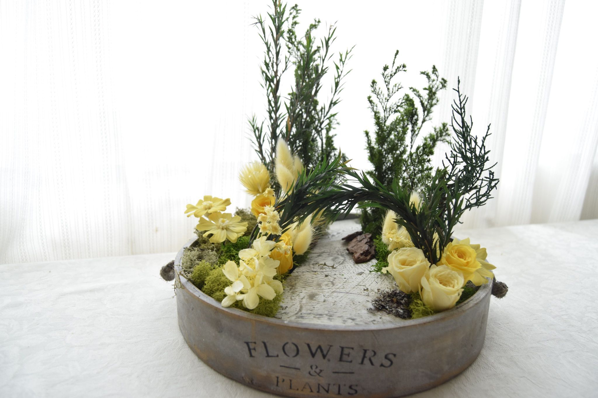 山本彩代 やまもと さよ ウッドヒルガーデンズ イベントセミナー一覧 リザスト