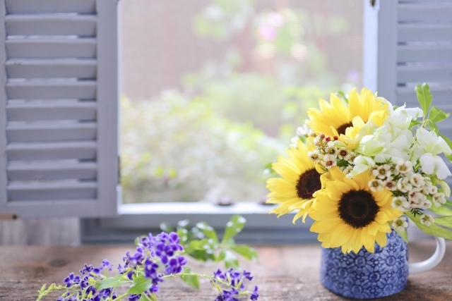 38901_nji3m2jjnwfhmmzhm