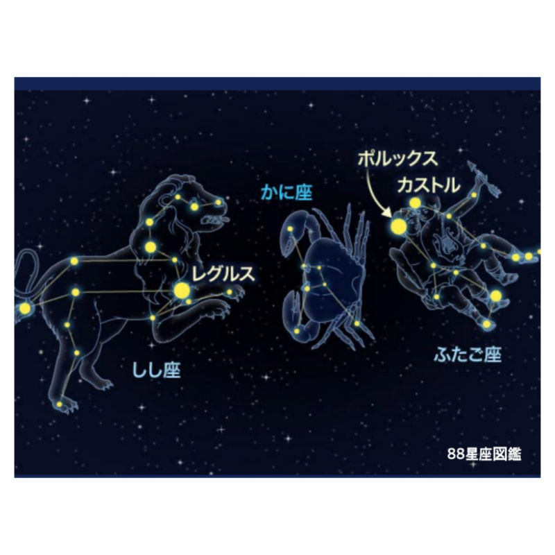 かに座のかにさんは心優しきお化けガニです! | Life-with-Starsのブログ