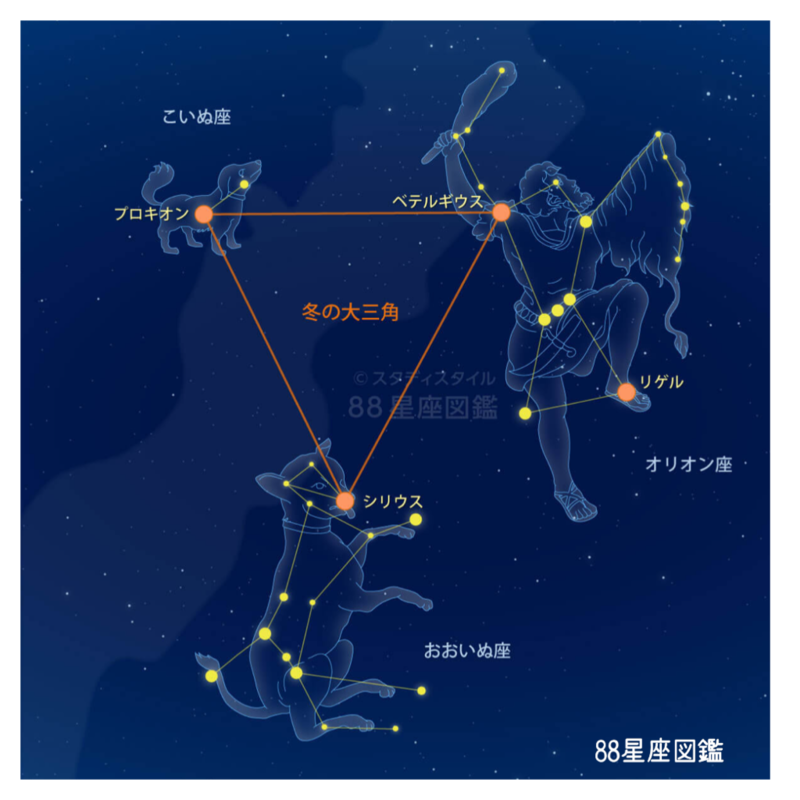 こいぬ座は泣いているワンチャンです LifewithStarsのブログ
