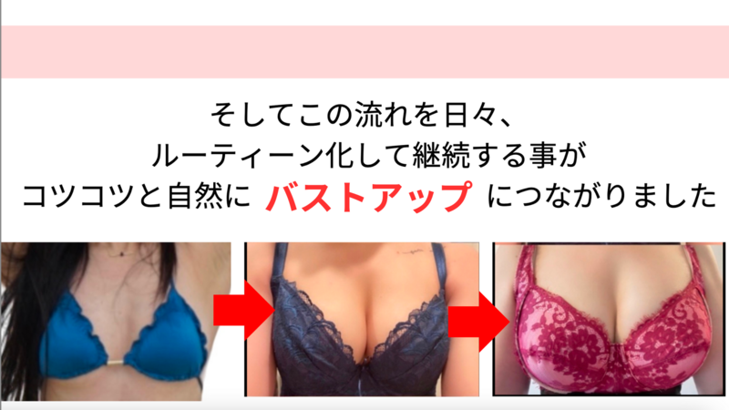 堀江 真澄 (ほりえ ますみ)美乳育成プログラム-Basic- - リザスト
