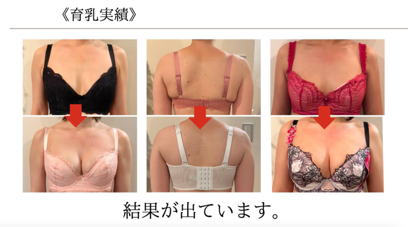 堀江 真澄 (ほりえ ますみ)美乳育成プログラム-Basic- - リザスト