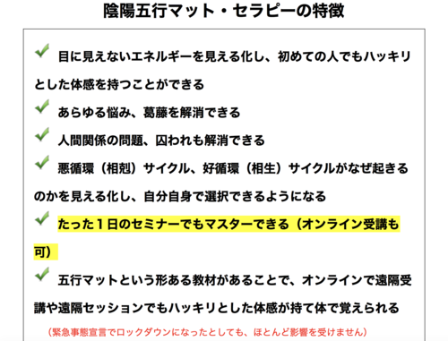 BU陰陽五行マット・セラピー（Eラーニング）五行マット付き｜田仲 真治