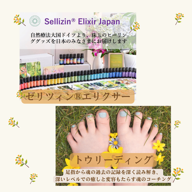 七緒 美琉生 (ななお みるき) - リザスト